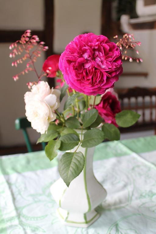 Maison Mille Fleurs Sankt Julian Εξωτερικό φωτογραφία