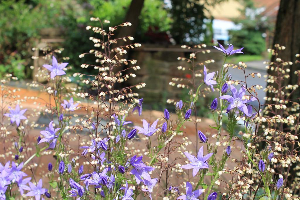 Maison Mille Fleurs Sankt Julian Εξωτερικό φωτογραφία