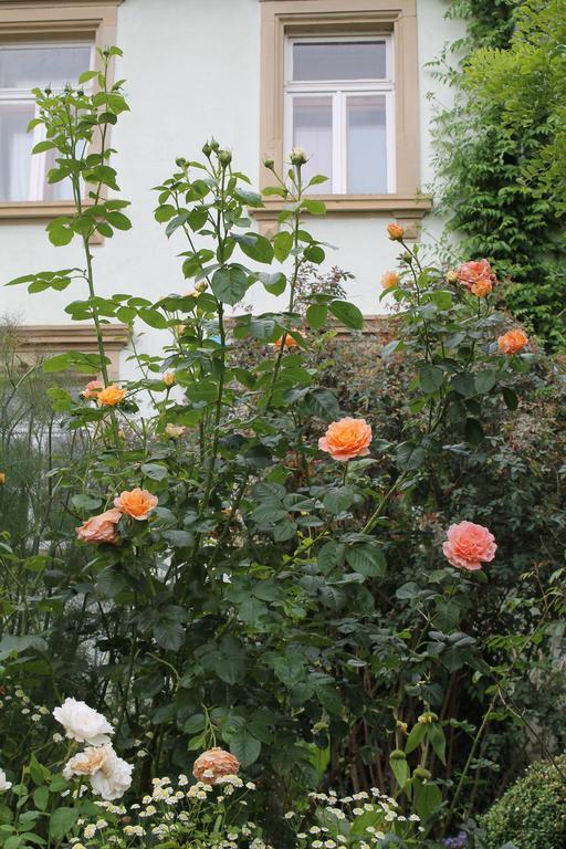 Maison Mille Fleurs Sankt Julian Εξωτερικό φωτογραφία